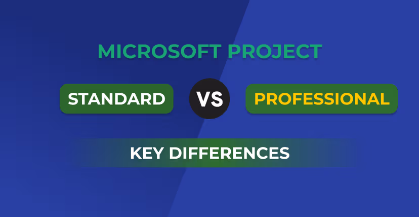 Microsoft Project Standard vs Professional: Key Differences Explained
