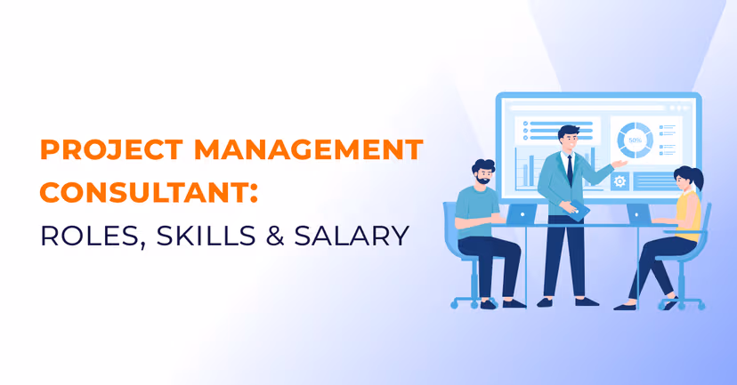 Project Management Consultant: Key Roles and Skills