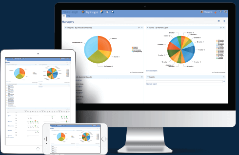 project insight project management tool