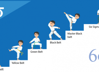 Six Sigma Belt Level Rankings & Roles