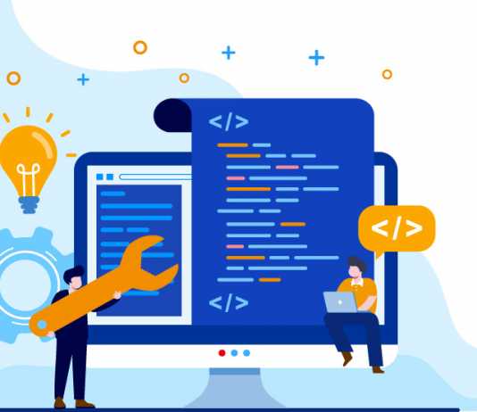 Who is a Program Manager?