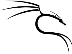 kali linux