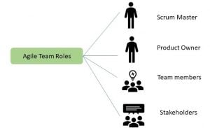 Roles Involved in Agile Project Management