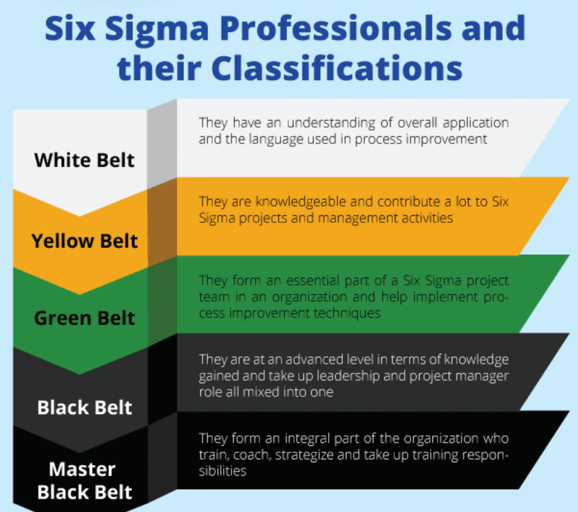 six sigma professionals - six sigma delivers value - invensis learning