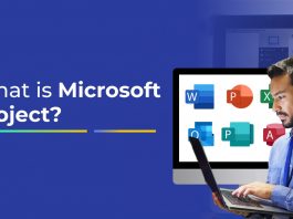 What is Microsoft Project