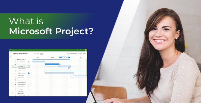 Microsoft Project Management