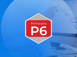 Primavera P6