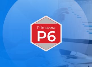 Primavera P6