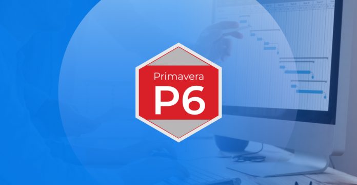 Primavera P6