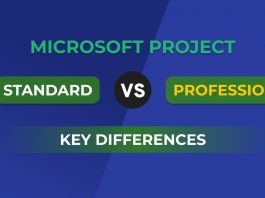 Microsoft project standard and professional: Key Differences