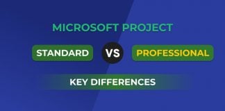 Microsoft project standard and professional: Key Differences