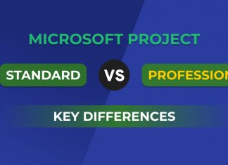 Microsoft project standard and professional: Key Differences
