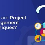 What are Project Management Techniques_