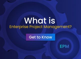 What is Enterprise Project Management