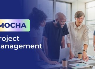 What is MOCHA Project Management