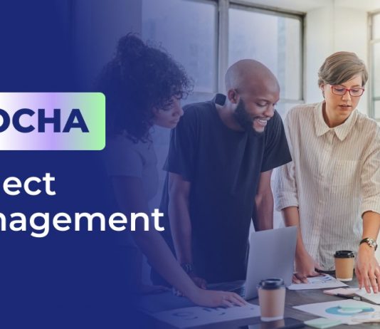 What is MOCHA Project Management