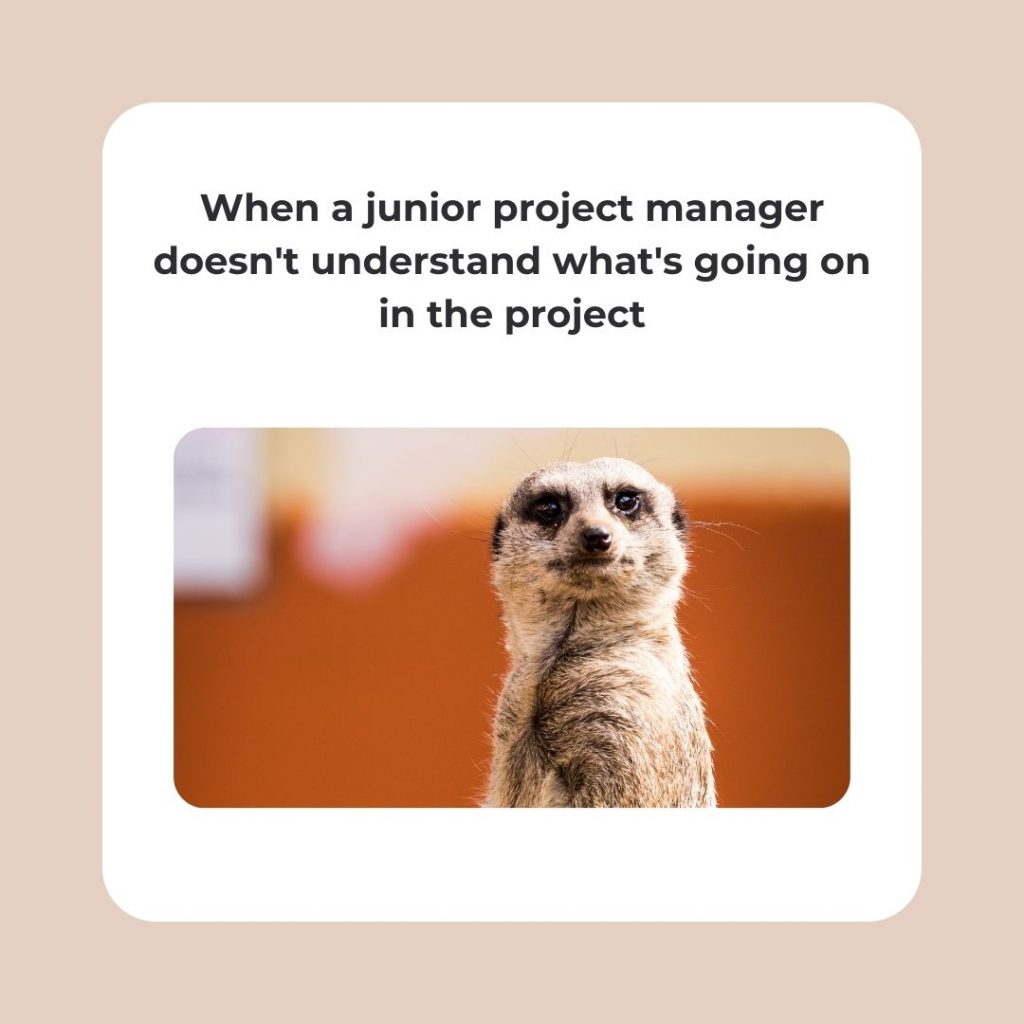 Memes on Project Management Risk