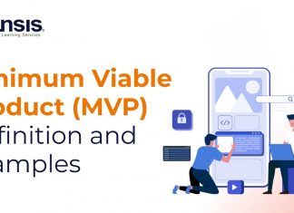 What is Minimum Viable Product?