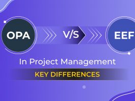 OPA vs EEF in Project Management