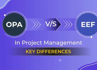 OPA vs EEF in Project Management