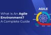 What is an Agile Environment?