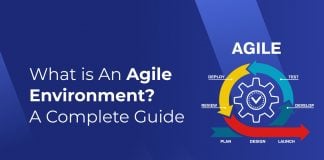 What is an Agile Environment?