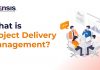 What is Project Delivery Management?