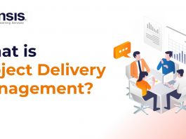 What is Project Delivery Management?