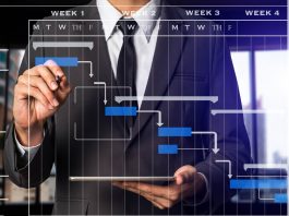 Project Timeline Management