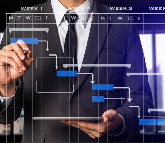 Project Timeline Management