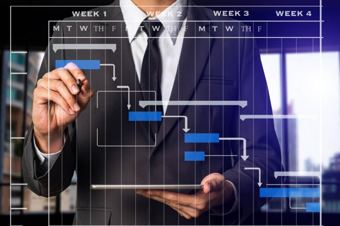 Project Timeline Management