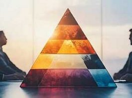 PMI Talent Triangle for Project Management