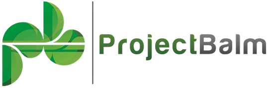 Risk Register by ProjectBalm Risk Register by ProjectBalm