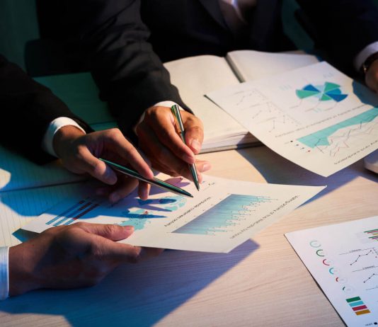 Government Project Management