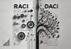 RACI vs DACI